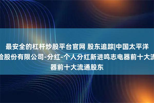 最安全的杠杆炒股平台官网 股东追踪|中国太平洋人寿保险股份有限公司-分红-个人分红新进鸣志电器前十大流通股东